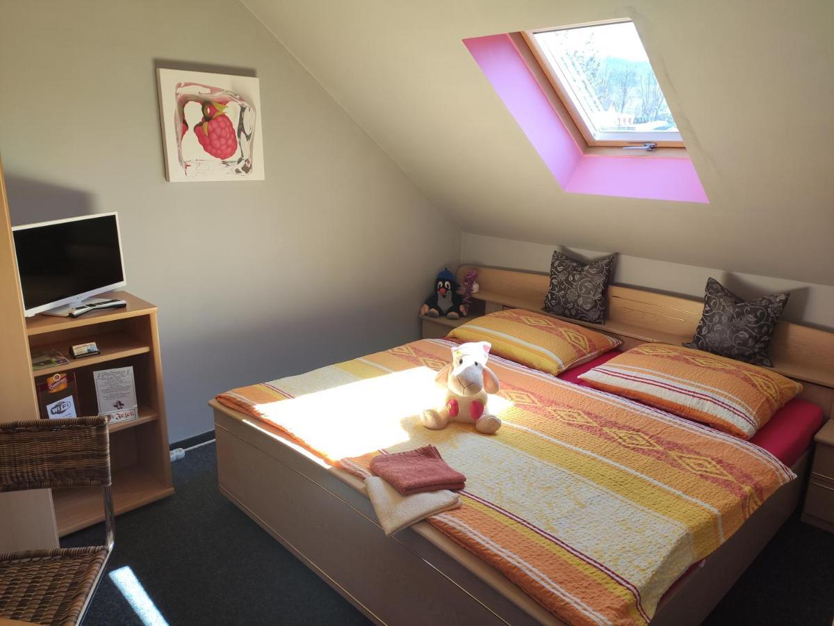 Penzion U Krtka Kraslice Extérieur photo