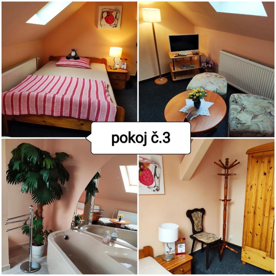 Penzion U Krtka Kraslice Extérieur photo