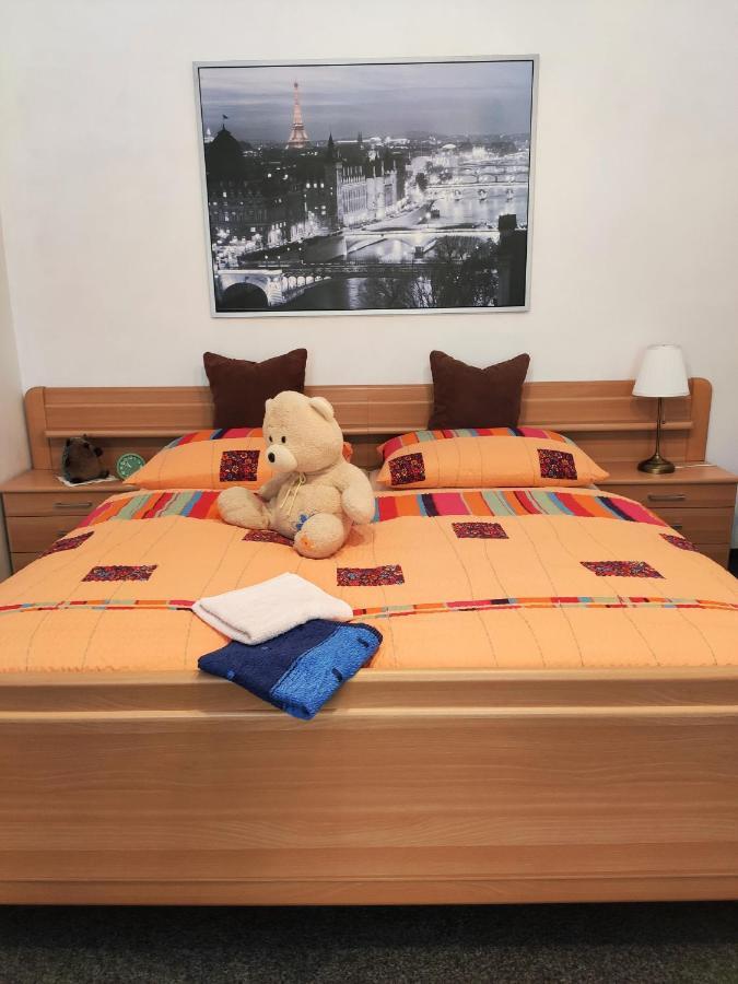 Penzion U Krtka Kraslice Extérieur photo